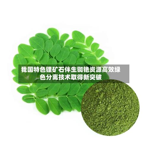 我国特色锂矿石伴生铷铯资源高效绿色分离技术取得新突破