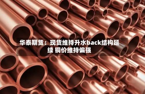 华泰期货：现货维持升水back结构延续 铜价维持偏强-第1张图片