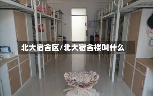 北大宿舍区/北大宿舍楼叫什么-第2张图片
