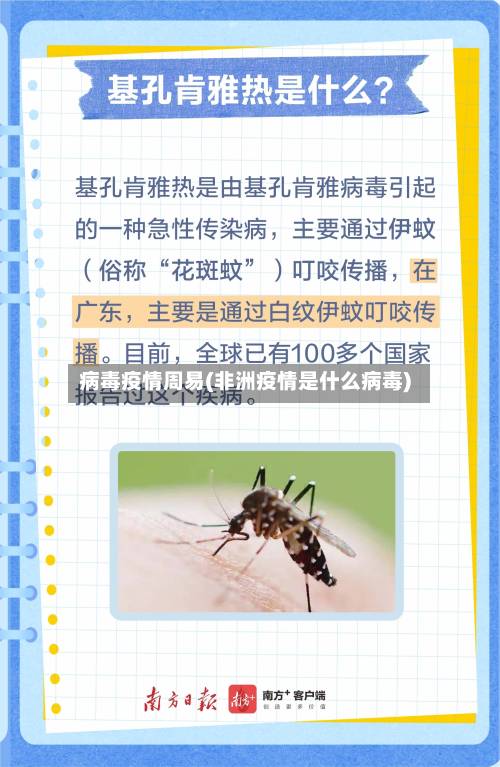 病毒疫情周易(非洲疫情是什么病毒)-第1张图片
