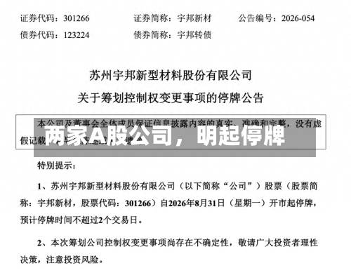 两家A股公司，明起停牌-第2张图片
