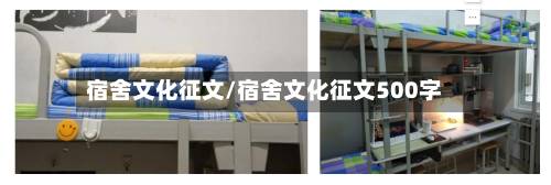 宿舍文化征文/宿舍文化征文500字