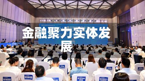 金融聚力实体发展