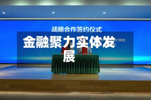金融聚力实体发展-第2张图片
