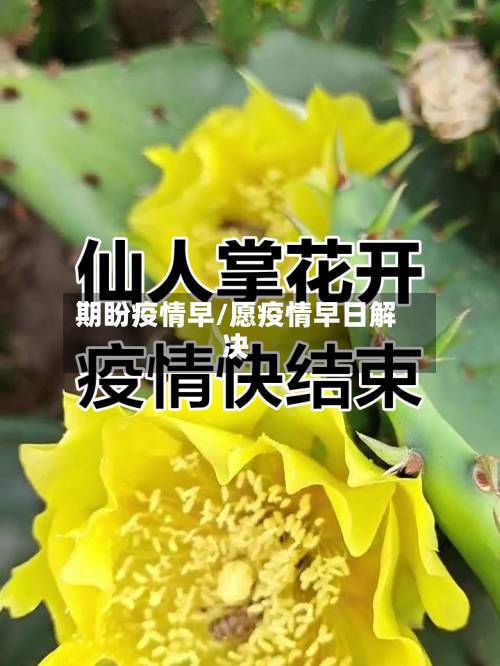 期盼疫情早/愿疫情早日解决