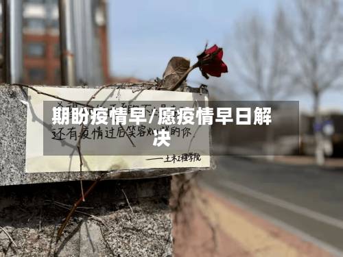 期盼疫情早/愿疫情早日解决-第2张图片