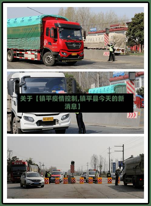 关于【镇平疫情控制,镇平县今天的新消息】-第3张图片