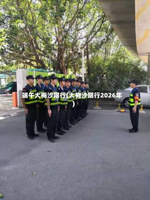 端午大梅沙限行(大梅沙限行2026年)