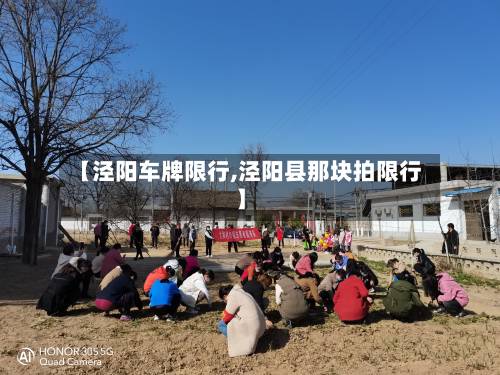 【泾阳车牌限行,泾阳县那块拍限行】-第2张图片