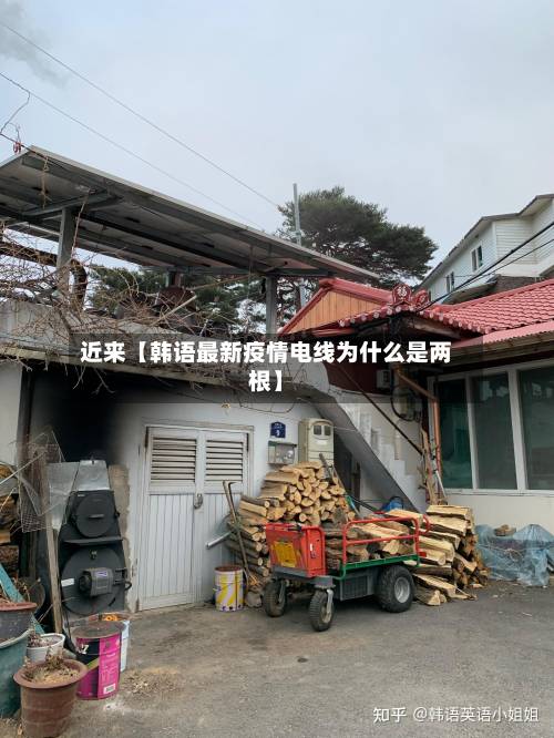 近来【韩语最新疫情电线为什么是两根】-第2张图片