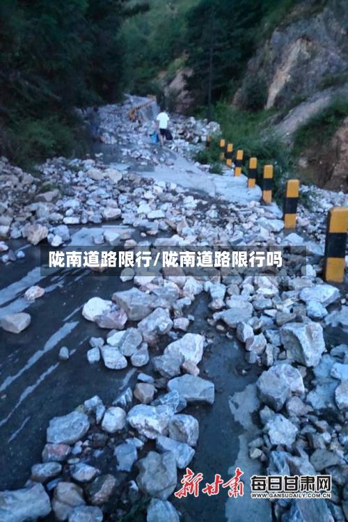 陇南道路限行/陇南道路限行吗