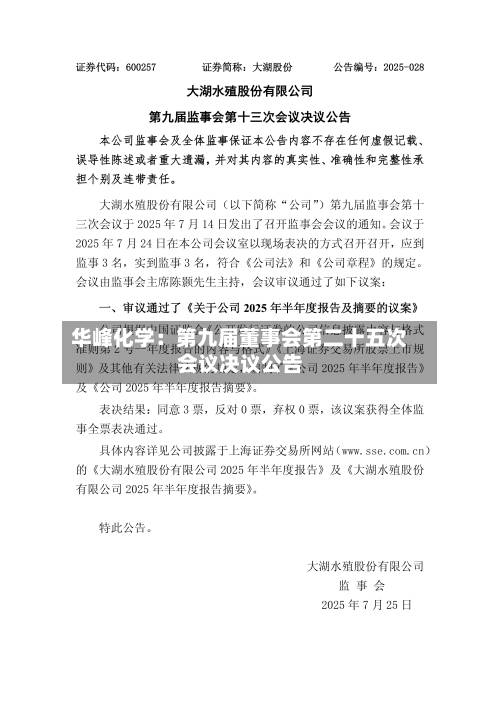 华峰化学：第九届董事会第二十五次会议决议公告