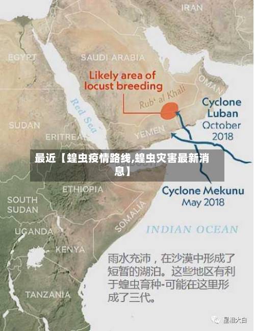 最近【蝗虫疫情路线,蝗虫灾害最新消息】-第3张图片