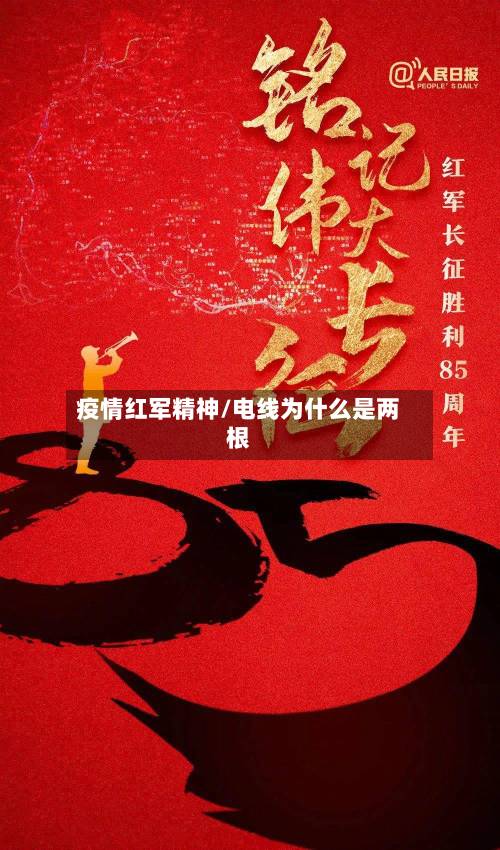 疫情红军精神/电线为什么是两根-第2张图片