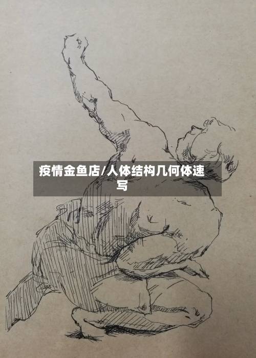 疫情金鱼店/人体结构几何体速写