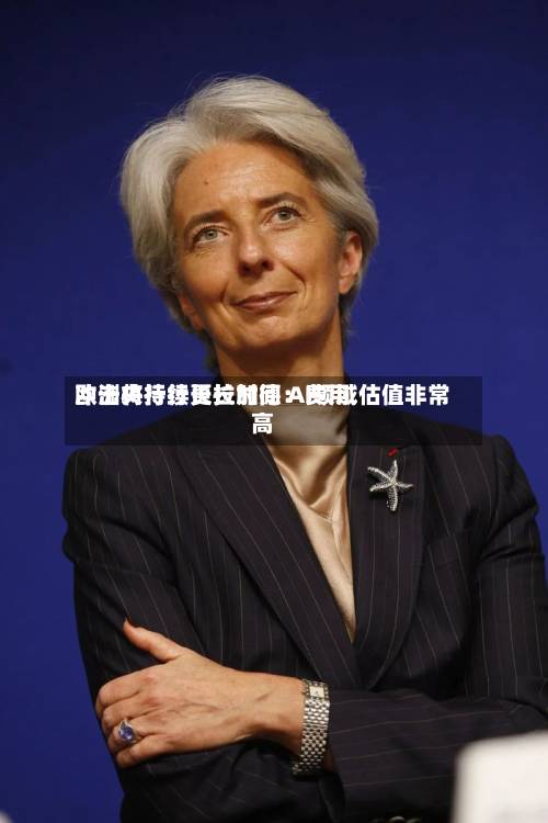 欧洲央行行长拉加德：费用冲击将持续更长时间 AI领域估值非常高