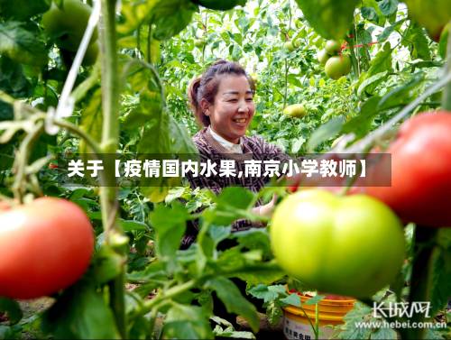 关于【疫情国内水果,南京小学教师】-第2张图片