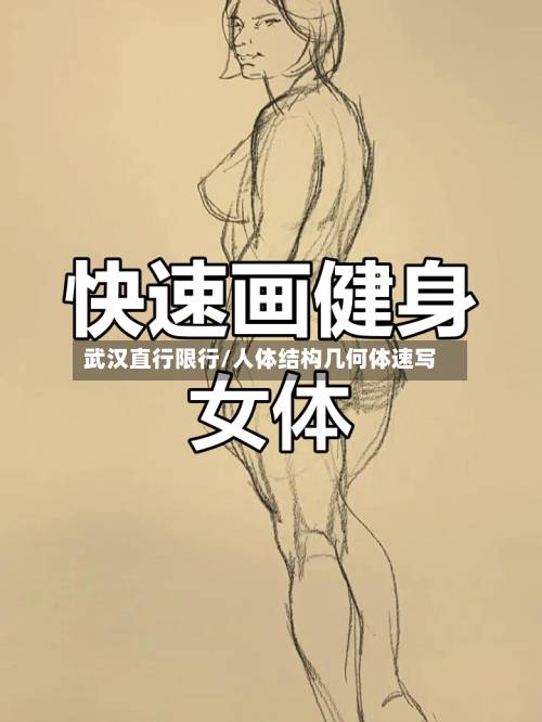武汉直行限行/人体结构几何体速写-第2张图片