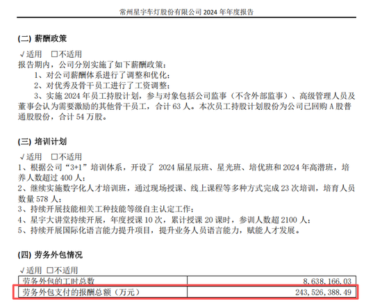 星宇股份再现重大财报差错，2.44万亿外包费用？